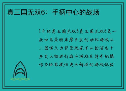 真三国无双6：手柄中心的战场